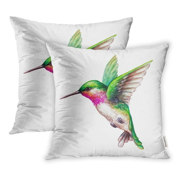 YWOTA Watercolor Flying Hummingbird Exotic Tropical Wild Life Clip Pillow Cases Cushion Cover 16x16 inch
