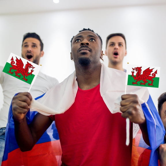 YYKihy 5pcs Flag 14 X 21cm Polyester Flag Celebration Flag Small Mini Stick Flag Ball Game Party Decoration