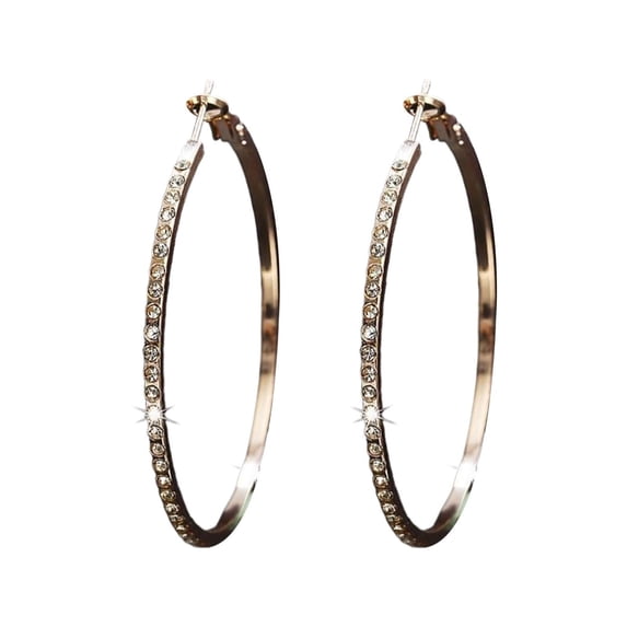 YYKihy 925 Sterling Silver Earrings For Women Full Dangle Round Hoop Earrings For Her