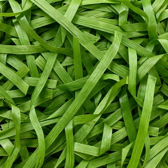 YZEGDCH Raffia Paper Shreds, 100g Shredded Paper for Gift Box, Crinkle Cut Paper Shred Filler for Christmas Valentine's Day Wedding Birthday Gift Wrapping & Basket Filling(40oz Green#3)