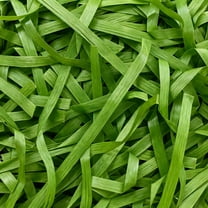 YZEGDCH Raffia Paper Shreds, 100g Shredded Paper for Gift Box, Crinkle Cut Paper Shred Filler for Christmas Valentine's Day Wedding Birthday Gift Wrapping & Basket Filling(40oz Green#3)