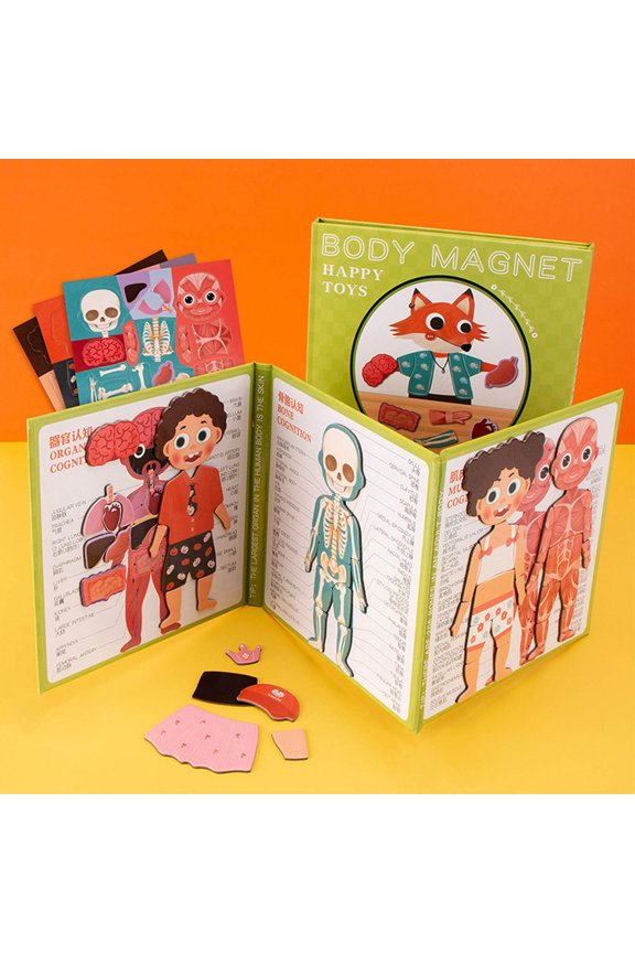 Magnetic Human Anatomy Book Interactive Magnetic Design Detailed Illustrations Durable User-Friendly Layout Educational Resource for Student Educator Classroom Self-Learning Reference