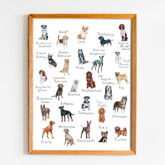 YaHaku Alphabet Dog Breed , A-Z Dog , Dog Breed Poster, 8.5” x 11”, 8" x 10" Alphabet Dog Chart, Dog Lover Gift, Watercolor Art