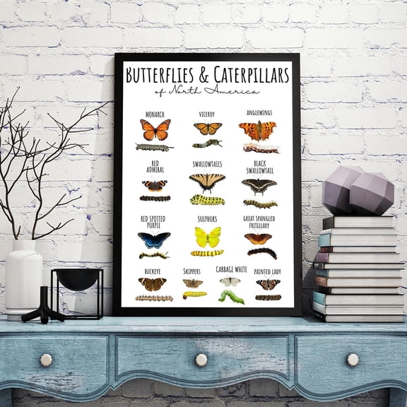YaHaku Caterpillars North Poster, Knowledge Wall Art, Retro Butterfly Chart Decor, Identification Butterfly Print