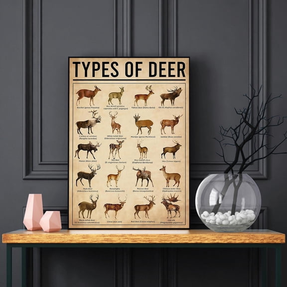 YaHaku Types Of Deer Poster, Vintage Deer Knowledge Prints, Deer Chart Wall Art, School Educational Poster, Home Office Classroom Decor