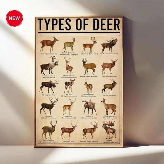 YaHaku Types of Deer Poster – Vintage Deer Wall Art – Wildlife Education – Gifts for Hunters & Nature Lovers – Rustic Cabin Decor