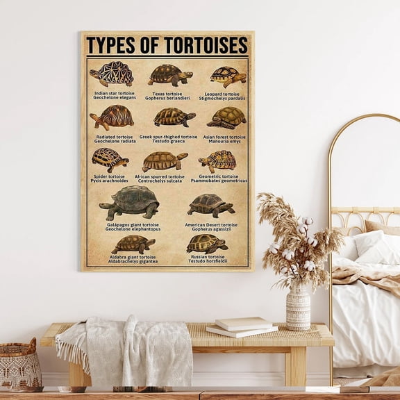 YaHaku Types of Tortoises Poster, Tortoise Knowledge Wall Art, Educational Tortoise Chart, Vintage Reptile Poster, Home Classroom Nature Decor