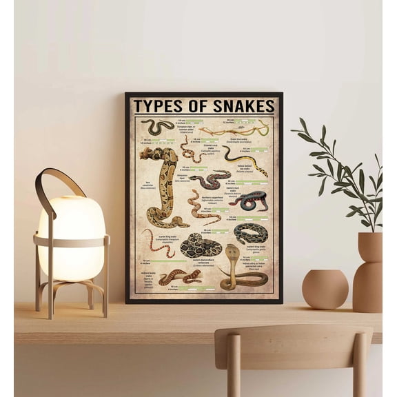 YaHaku Unframed Types Of Snakes Poster, Snake , Snake Print, Knowledge Poster, Knowledge Art, Home , Education