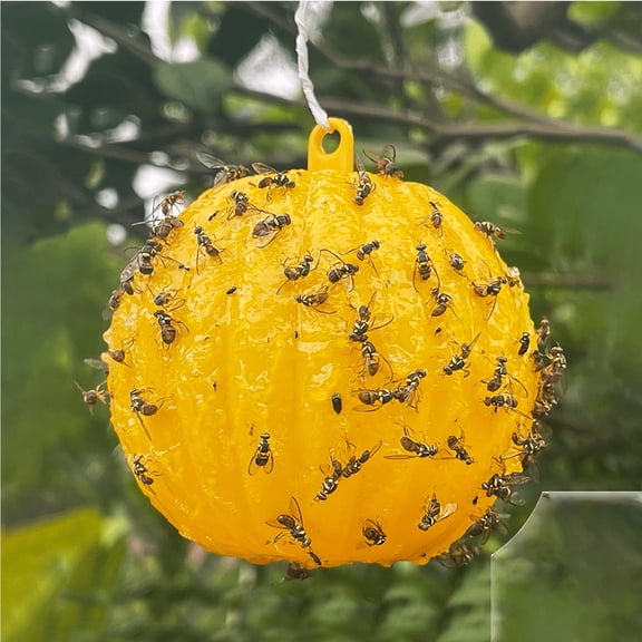 YabuSS Fruit Fly Trap Outdoor Hanging Sticky Fly Stick Wasp Trap Bee Trap, Garden Flying Insects Trap Indoor or Outdoor Use, Ready to Use Home, Yellow