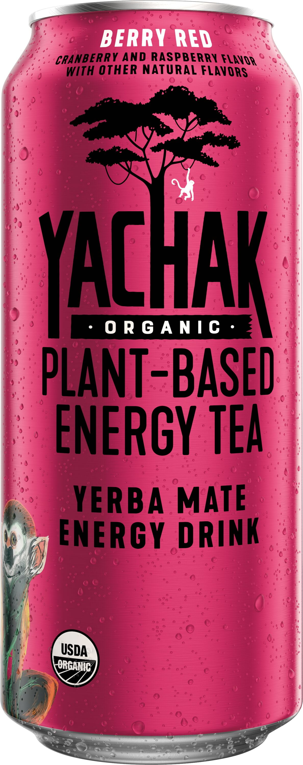 Yachak Organic Yerba Mate Energy Drink Plant Based Iced Tea Berry Red