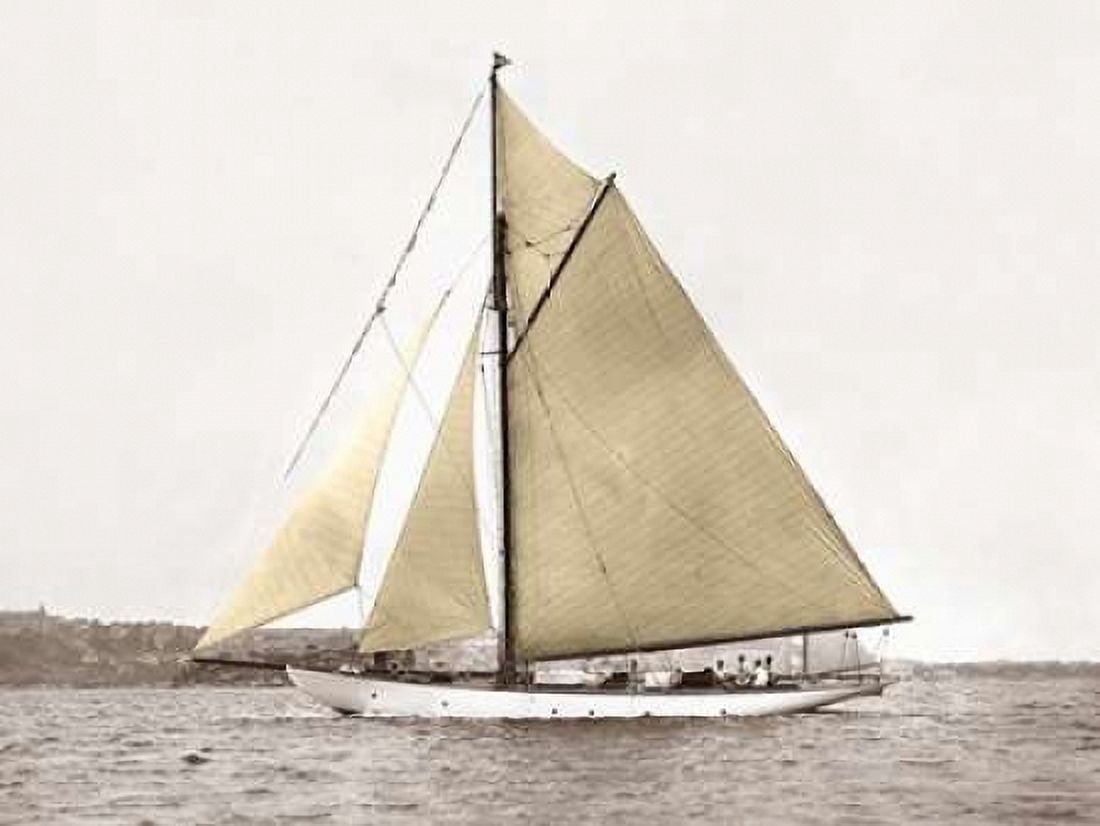 Yacht on Sydney Harbour Canvas Art - Anonymous (22 x 28)