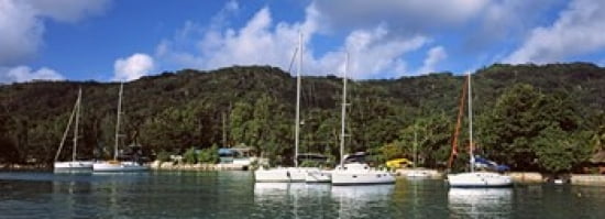 Yachts anchored at the harbor on La Digue Island Seychelles Canvas Art - Panoramic Images (36 x 13)