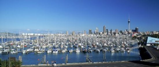 Yachts at Waitemata Harbor Sky Tower Auckland North Island New Zealand Canvas Art - Panoramic Images (30 x 13)