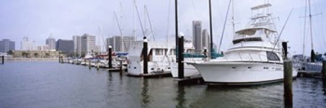 Yachts at a harbor with buildings in the background Corpus Christi Texas USA Canvas Art - Panoramic Images (18 x 6)