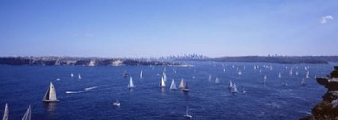 Yachts in the bay Sydney Harbor Sydney New South Wales Australia Canvas Art - Panoramic Images (18 x 7)