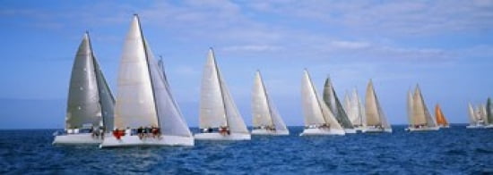 Yachts in the ocean Key West Florida USA Canvas Art - Panoramic Images (36 x 13)