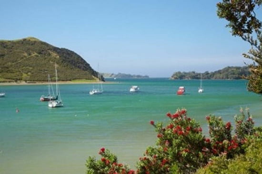 Yachts moored in Waipiro Bay North Island New Zealand Canvas Art - David Wall DanitaDelimont (36 x 24)