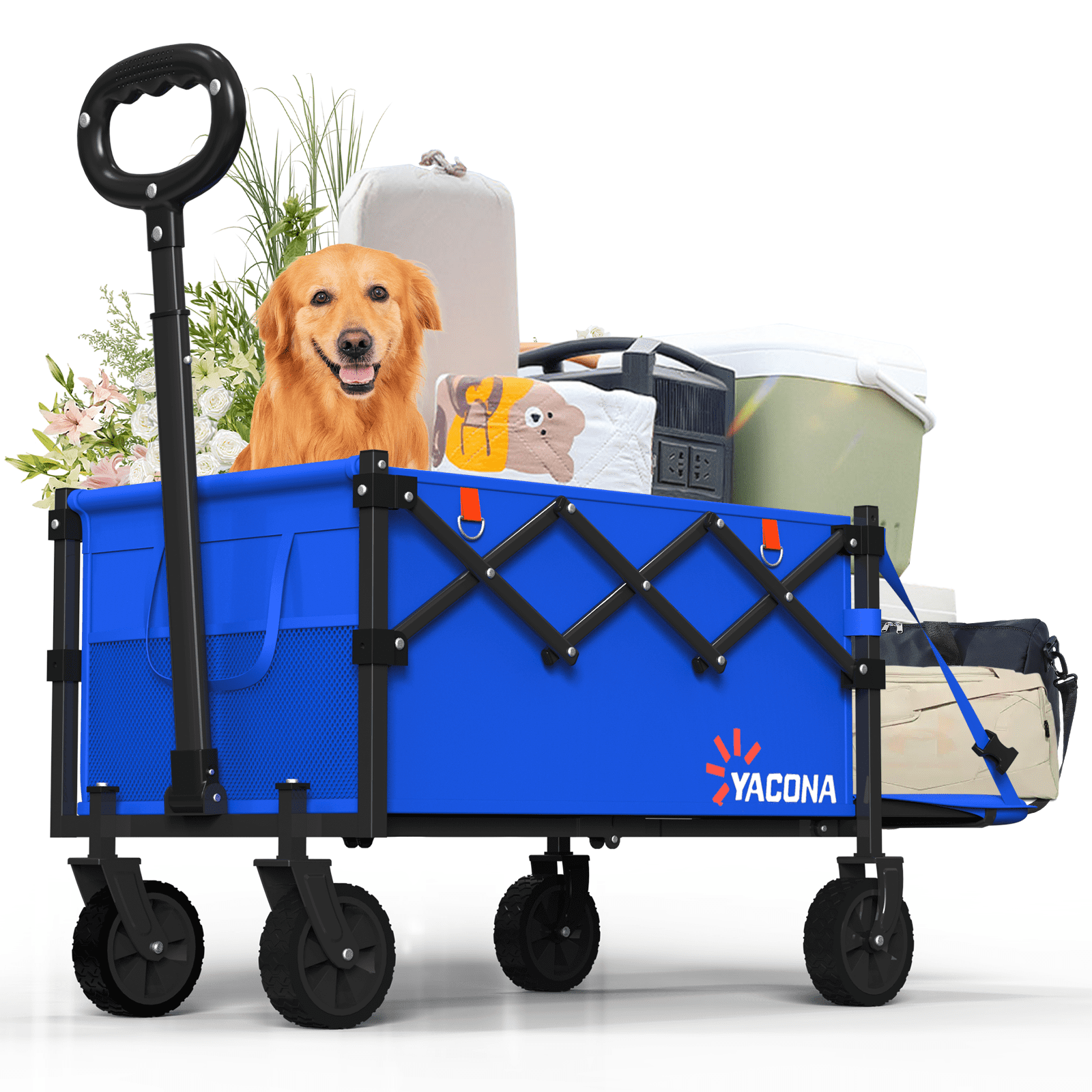 Yacona Wagons Carts Foldable with Tailgate, 360lbs Collapsible Extended Beach Wagon, Heavy Duty Folding Utility Cart, Blue