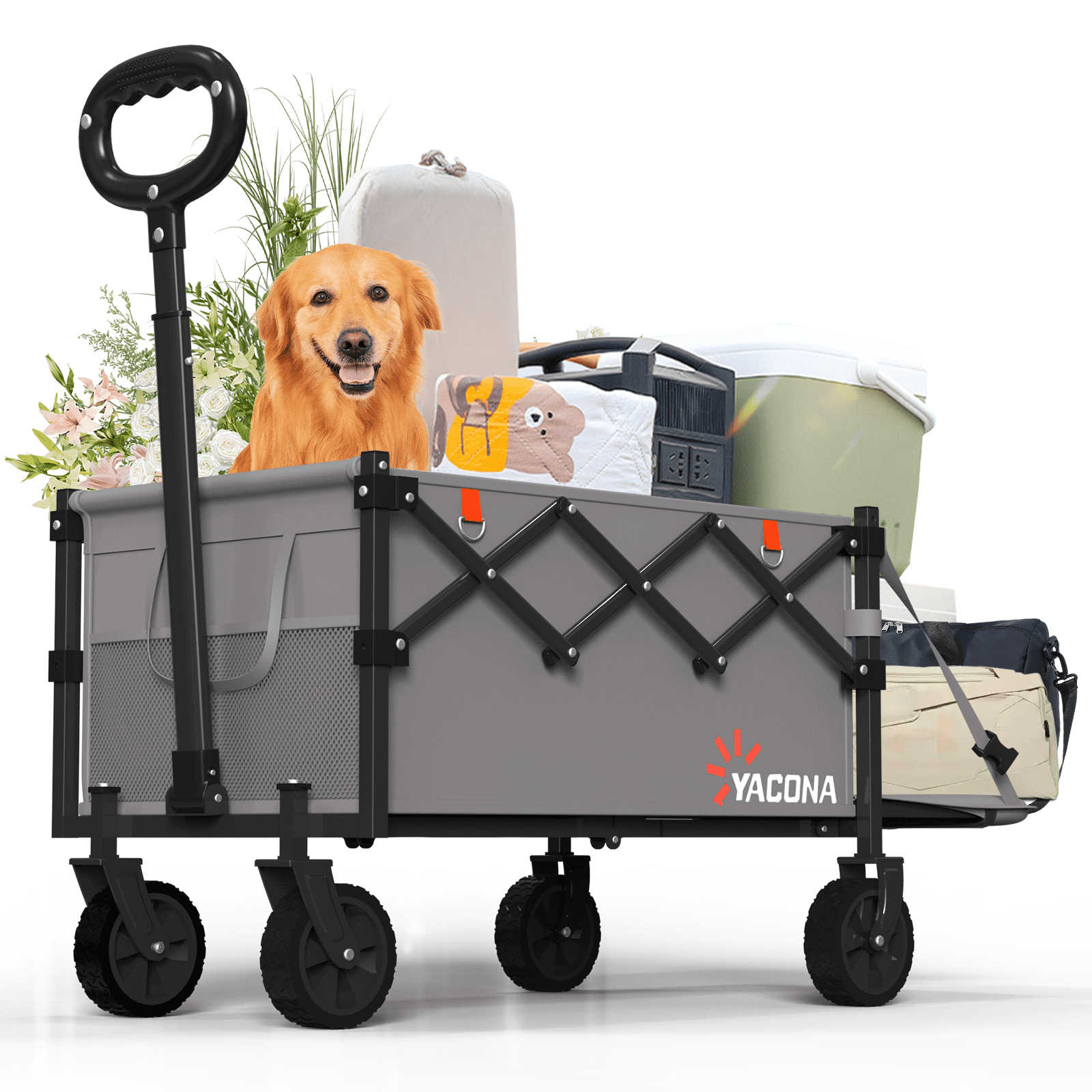 Yacona Wagons Carts Foldable with Tailgate, 360lbs Collapsible Extended Beach Wagon, Heavy Duty Folding Utility Cart, Gray