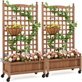 thumbnail image 1 of Yaheetech 50''H Raised Garden Bed with Trellis Planter Box, Set of 2,Dark Brown, 1 of 9