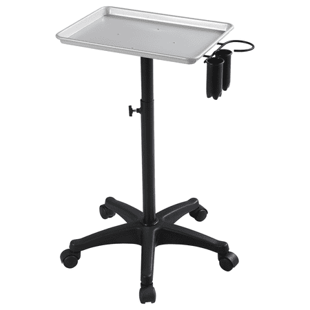 Yaheetech Professional Salon Hair Tray Rolling Trolley Cart, Silver