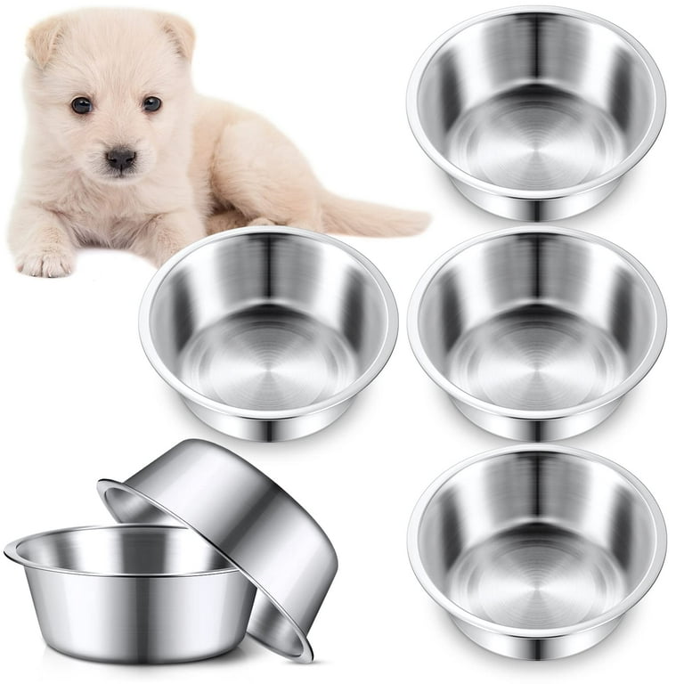 6 inch dog bowl hotsell