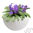 thumbnail image 1 of Yahome 1 Pcs Semicircle Wall Hanging Flower Pot Imitation Rattan Flowers Planter Plastic Plant Baskets Wall-Mounted Planter with Drainage for Indoor Outdoor Garden Balcony (White), 1 of 7