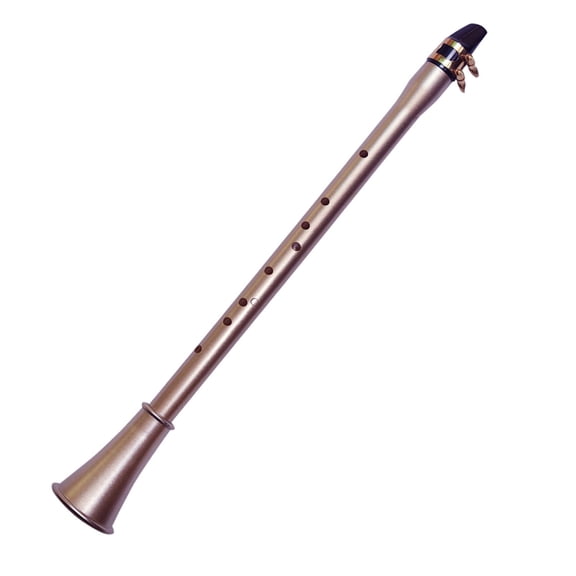 Yajisi C Tone Pocket Saxophone ABS Mini Portable Little Sax with Carrying Bag Woodwind Instrument for Beginners, Black