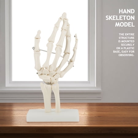 Yajisi Medical Anatomical Life-Size Human Hand Skeleton Model with Base, PVC Anatomy Study Display Tool for Classroom Teaching and Hospital Physical Health Education, 10.6 inches / 27 cm