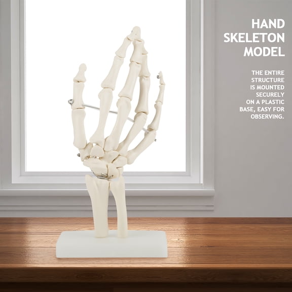 Yajisi Medical Anatomical Life-Size Human Hand Skeleton Model with Base, PVC Anatomy Study Display Tool for Classroom Teaching and Hospital Physical Health Education, 10.6 inches / 27 cm