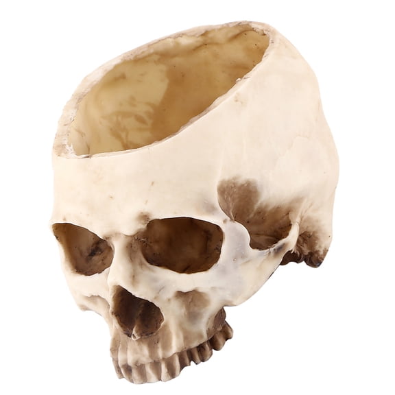 Yajisi Resin Skull Head Flower Pot Planter Container Gothic Novelty Plant Pot for Halloween Decoration, 6.49 inches / 16.5 cm