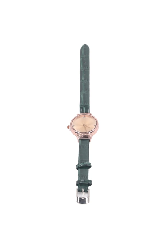 Women Minimalist Watch Ultra Thin Leather Strap Casual Fashion Wrist Watch Ladies Simple Dress Quartz Analog Timepiece Elegant Everyday Wear Gift in Green Color - 10 inches / 25.4 cm