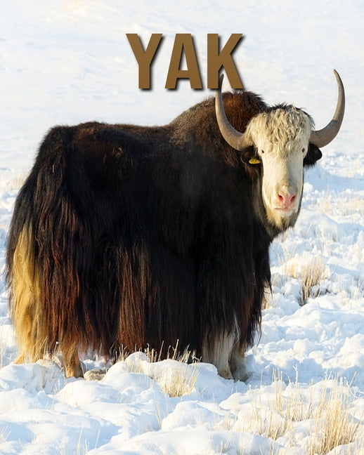 Yak : Amazing Fun Facts and Pictures about Yak for Kids (Paperback ...