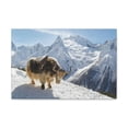 thumbnail image 1 of Yak Hunting Yak on Hunt Print Animal Wall Art Wildlife Canvas Prints Wall Art Ready to Hang Unframed, 1 of 18