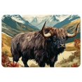 thumbnail image 1 of Yak Non-Slip Polyester Floor Carpet Door Rugs Outdoor Carpet, Machine Washable, 1 of 6