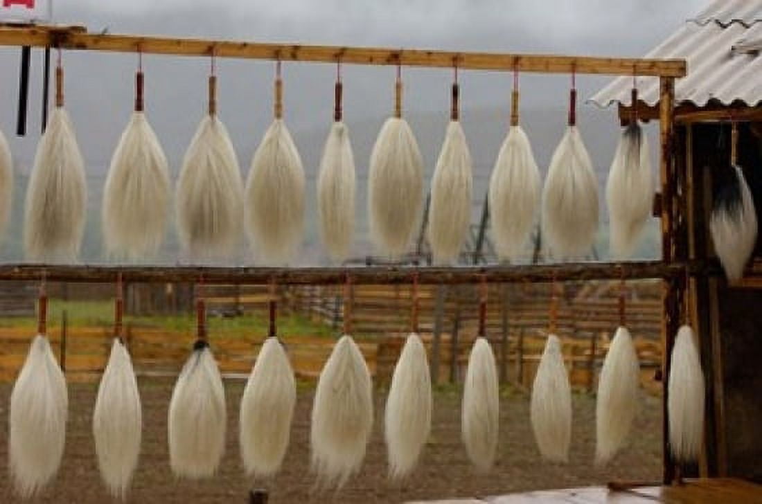 Yak Tails For Sale Zhongdian Yunnan Province China Canvas Art - Pete Oxford DanitaDelimont (19 x 12)
