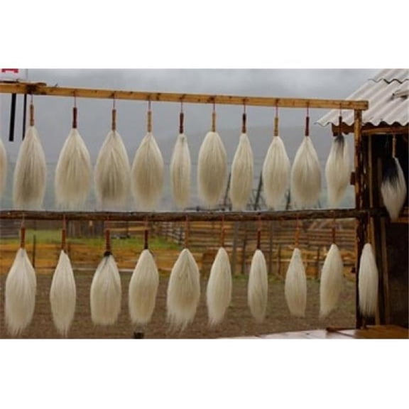 Yak Tails for Sale Zhongdian Yunnan Province China Poster Print by Pete Oxford
