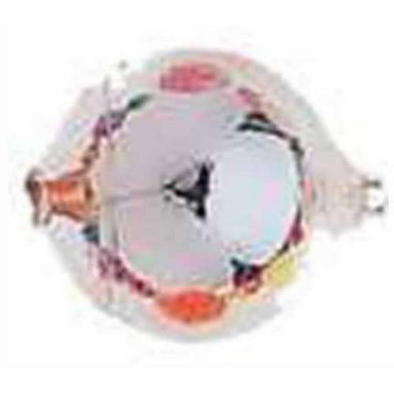 Yakima Bait Lil Corky #12