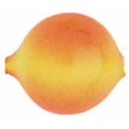 thumbnail image 1 of Yakima Bait Lil Corky #14, 1 of 1
