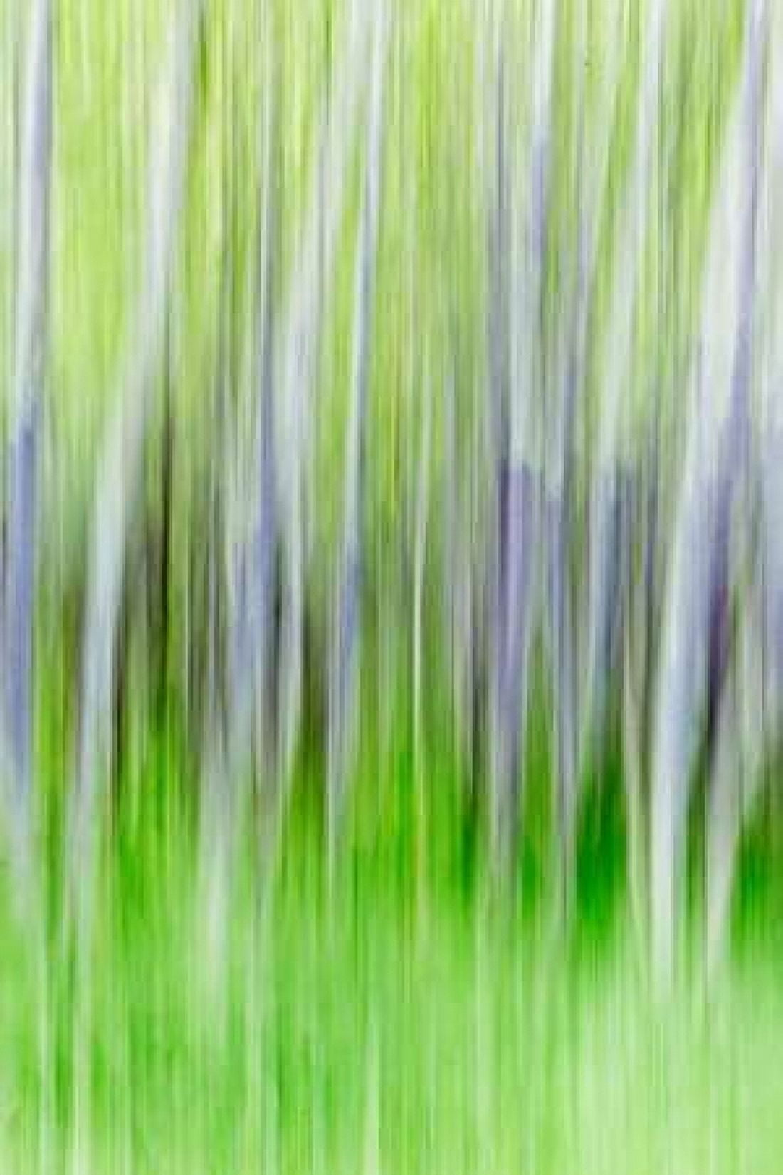 Yakima River Trail I Canvas Art - Kathy Mahan (24 x 36)