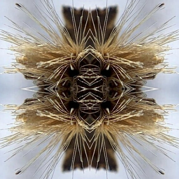 Yakuza - Sutra - Music & Performance - CD