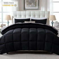 Yalamila 3 Pieces Bed in a Bag Comforter Set,Black/Grey,Queen Size Comforter Set-200GSM