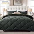 thumbnail image 1 of Yalamila Full Size Comforter Set 3-Piece All-Season Down Alternative Reversible Comforter Set,Sage Green,200GSM Cooling Quilted Duvet Insert,95 GSM Soft Cover Bed in a Bag, 1 of 8