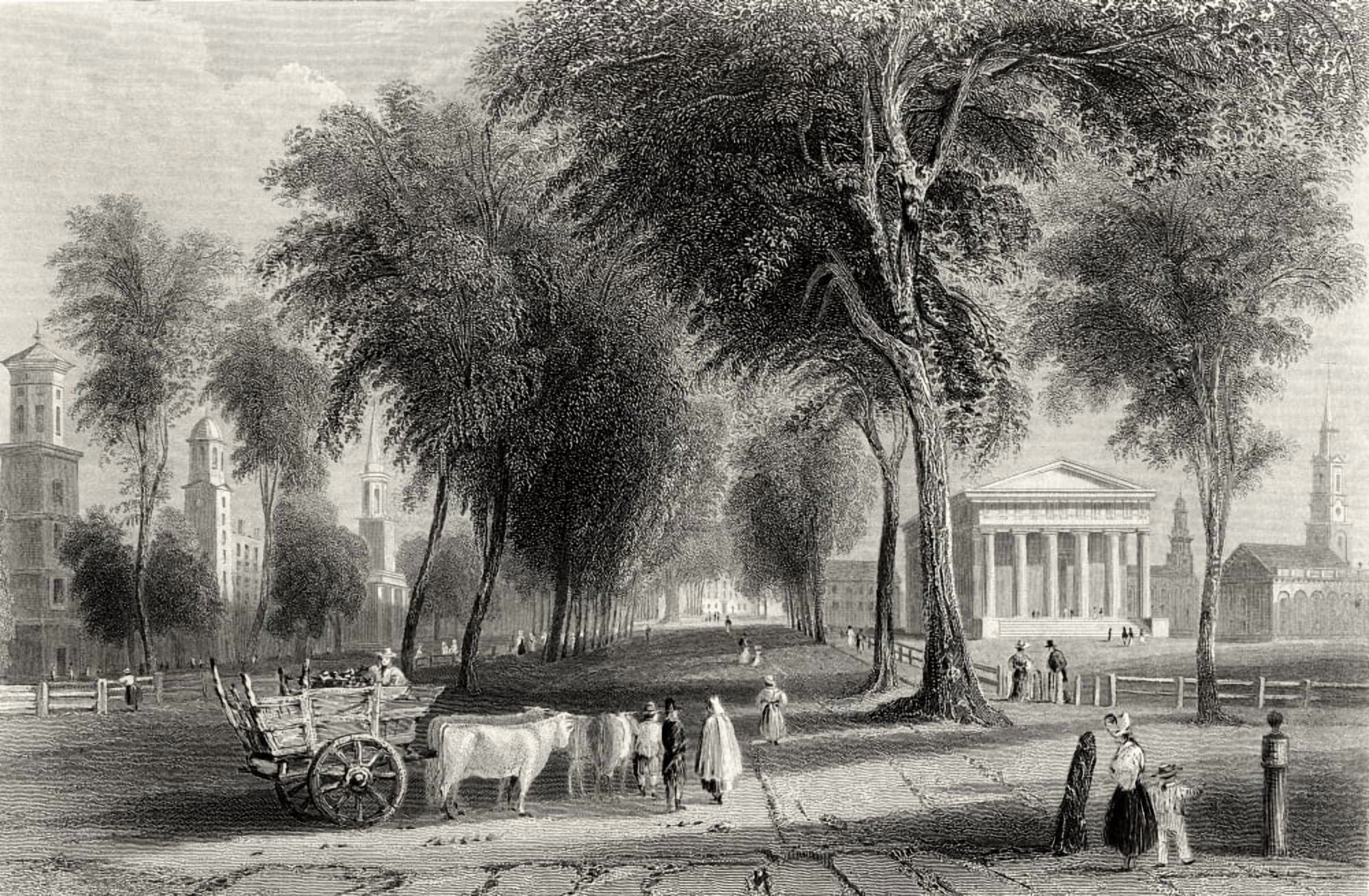 Yale College Newhaven Connecticut Usa From A 19Th Century Print Engraved By J Sands After W H Bartlett Canvas Art - Ken Welsh  Design Pics (34 x 22)