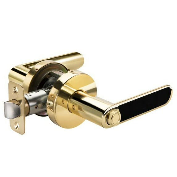 Yale Security D520L301 Kincaid BK, Polished Brass Privacy Lever Lock
