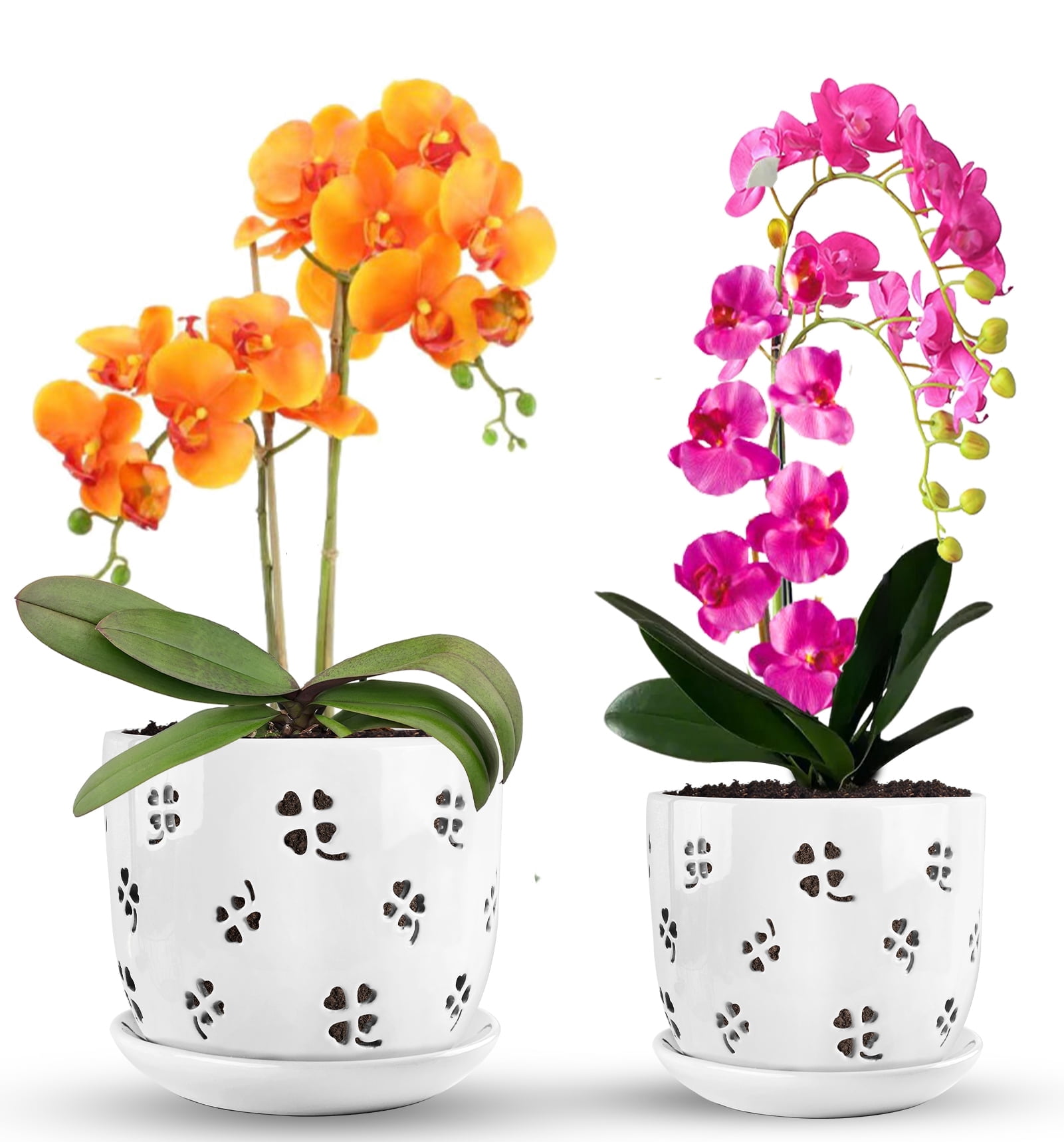 Yalumo 2 Pack Ceramic Orchid Pots with Holes, 5 & 6 Inch Large Orchid Planters with Drainage and Saucers for Repotting, Breathable Flower Pots for Indoor Outdoor Orchids and Succulents