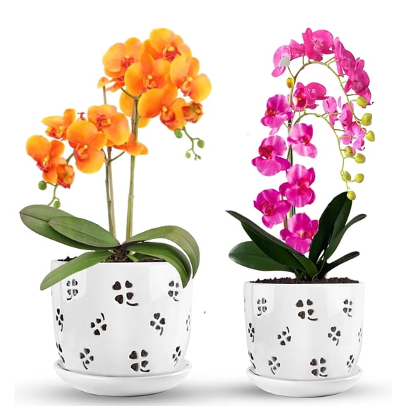 Yalumo 2 Pack Ceramic Orchid Pots with Holes, 5 & 6 Inch Large Orchid Planters with Drainage and Saucers for Repotting, Breathable Flower Pots for Indoor Outdoor Orchids and Succulents