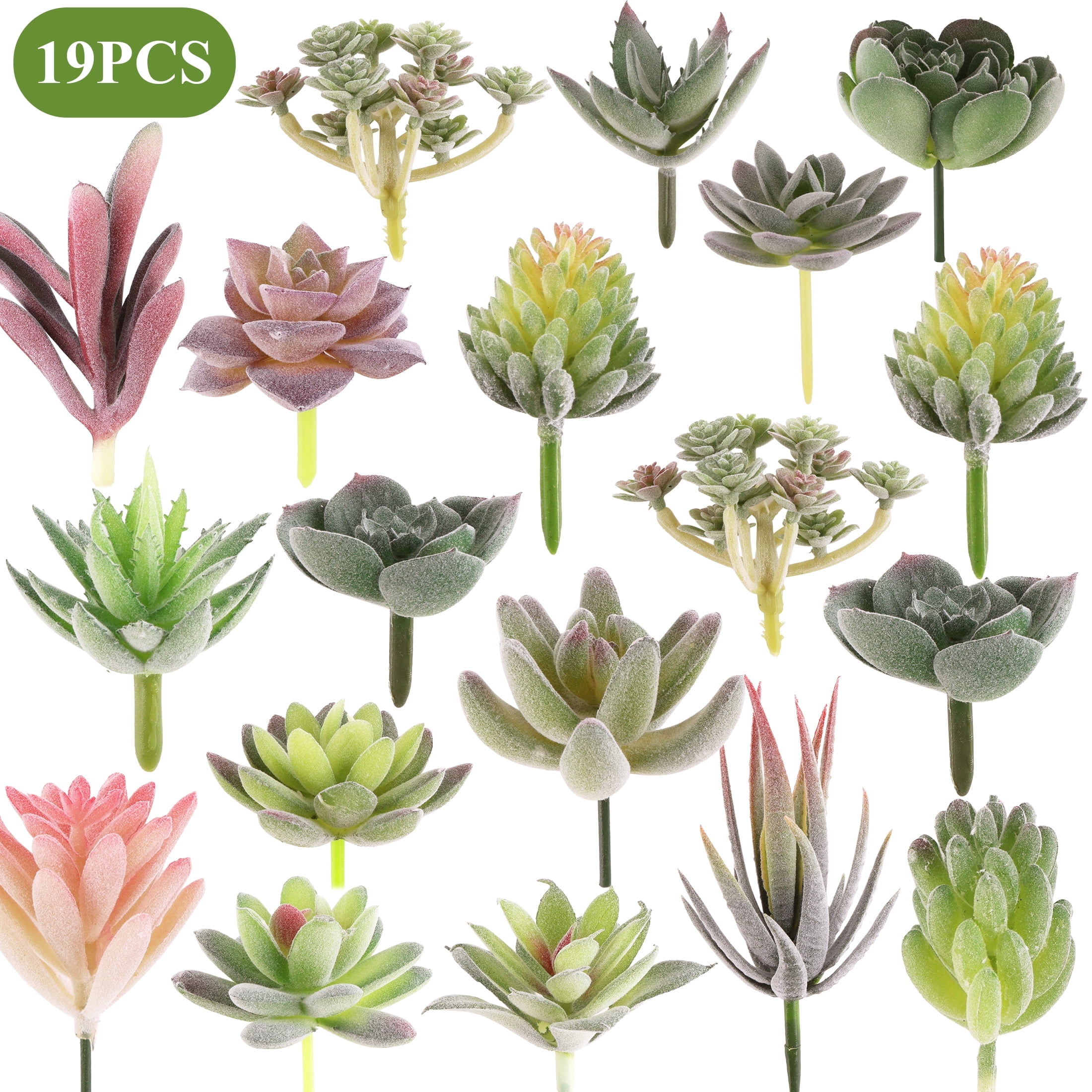 lisianthus flower seeds Buy Online Lisianthus Pink Desi Organic Flower Seeds main image 0
