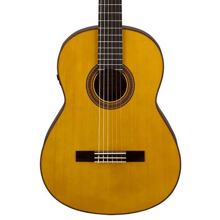 Guitar with 2024 built in reverb