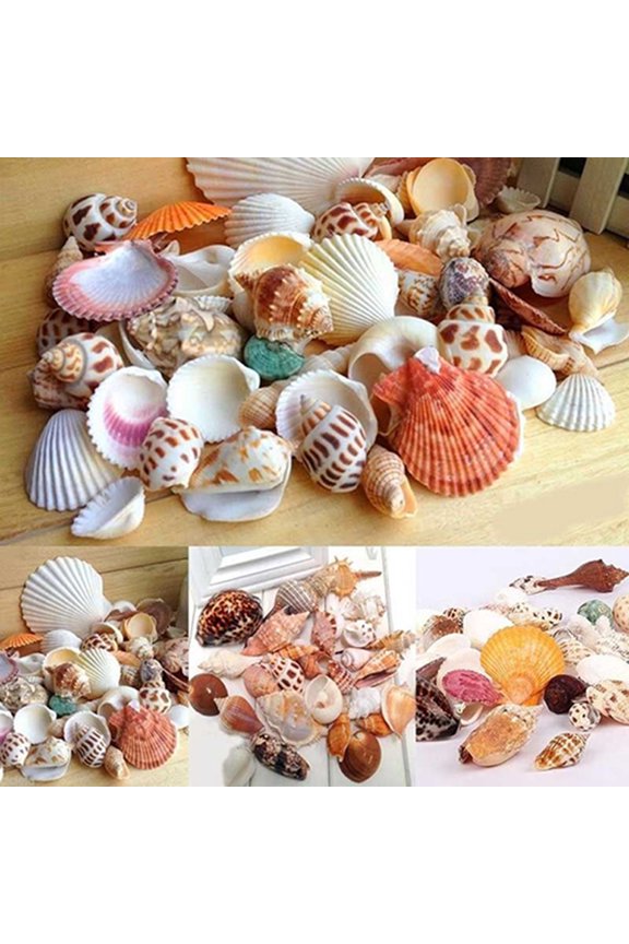 100g Mixed Mix Sea Shells Shell Craft Seashells Home Aquarium Nautical Decor
